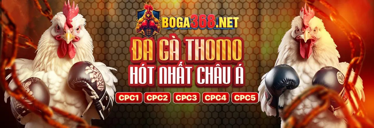 Hỗ trợ khách hàng ps99